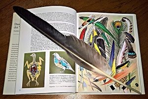 4 Things to Avoid When You Are Preparing Book Artwork 